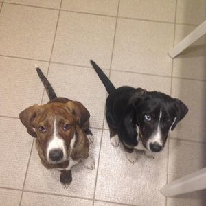 Meet your Posher, John